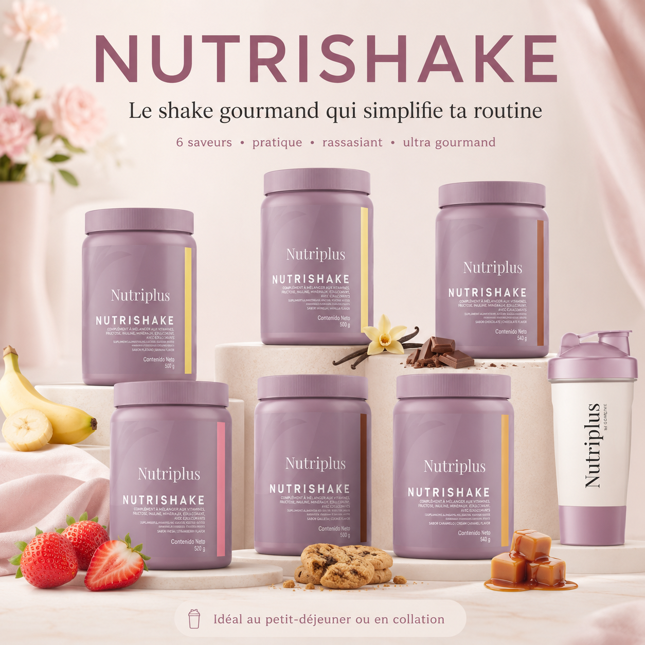 Nutrishake Nutriplus – 6 saveurs gourmandes